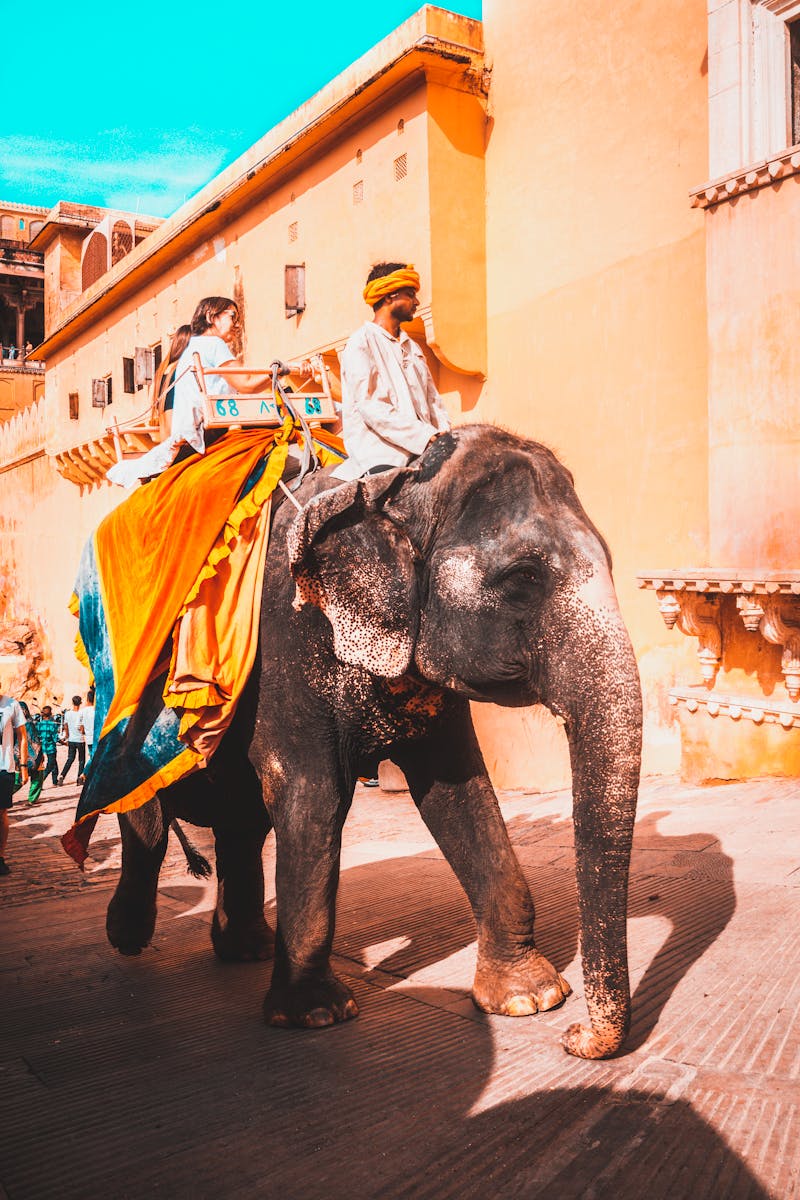 Man And Woman Riding An Elephant